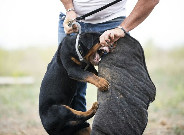 Sécurisez votre entreprise : équipements erp essentiels à connaître
